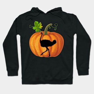 Ostrich in pumpkin Hoodie